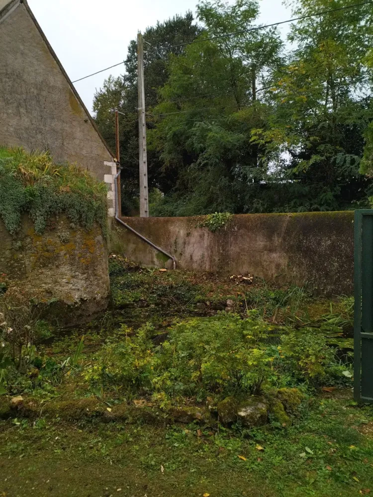 entretien jardin