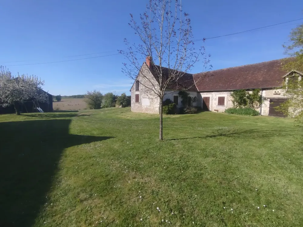entretien jardin 4